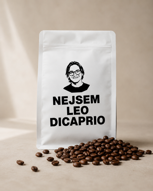 Kafe NEJSEM LEO DICAPRIO